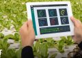معرفی ۸ تکنولوژی جذاب مورد استفاده در کشاورزی هوشمند