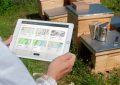 شرکت دانش‌بنیان ایرانی موفق به طراحی سیستم مدیریت زنبورستان و کندوی هوشمند شد