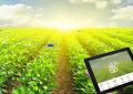 مزایای استفاده از اینترنت اشیاء در بخش کشاورزی| پیش بینی پذیری کیفیت محصولات