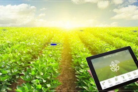 مزایای استفاده از اینترنت اشیاء در بخش کشاورزی| پیش بینی پذیری کیفیت محصولات